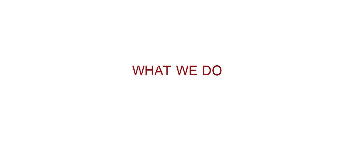 What_we_Do-